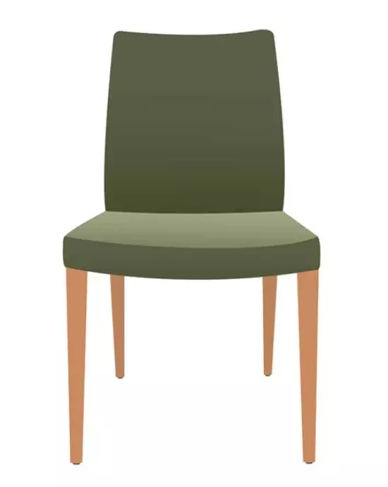 wooden chair with green cover